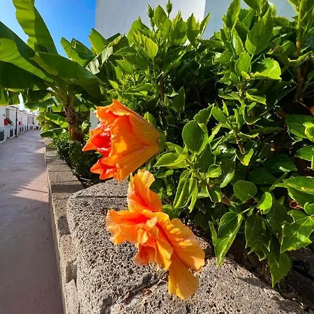 Malibu Blue Apartment Costa Adeje (Tenerife)
